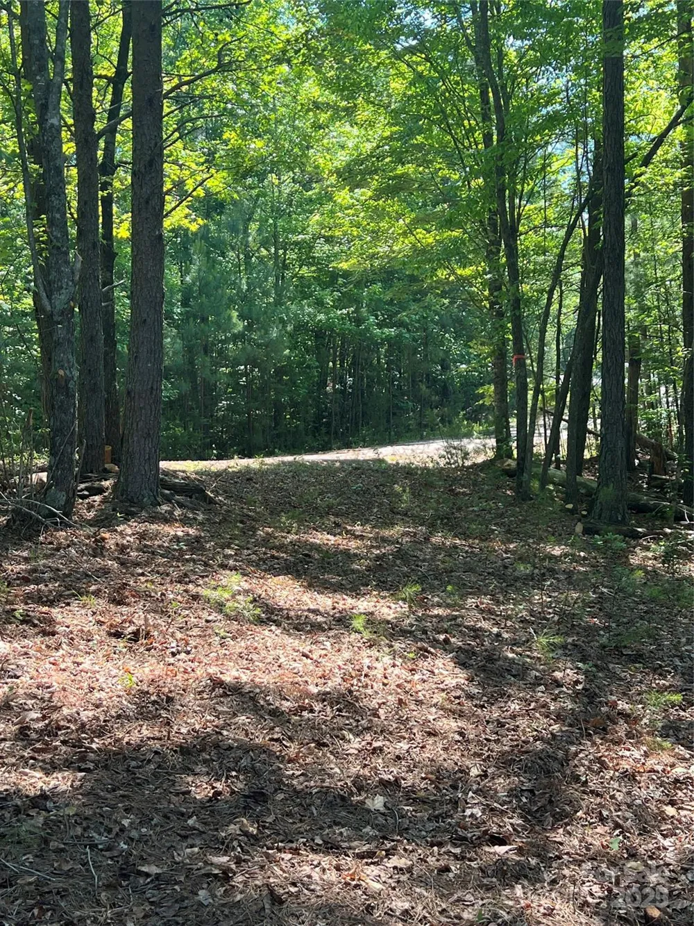 0 South Mountain Drive #16 Nebo, NC 28761