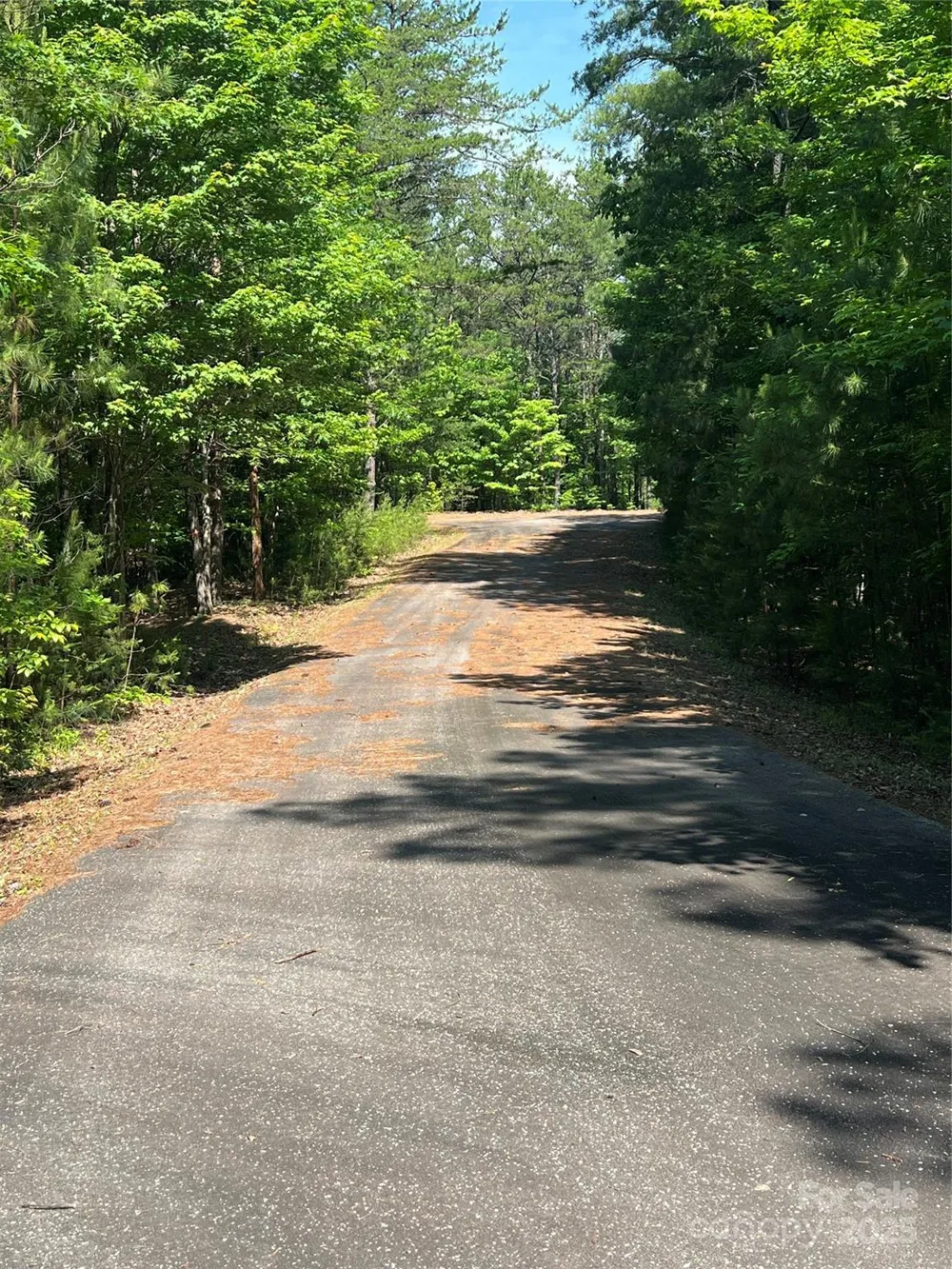 0 South Mountain Drive #16 Nebo, NC 28761