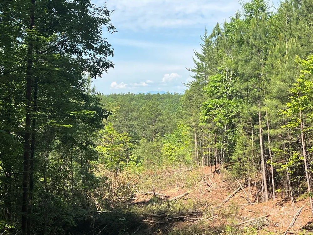 0 South Mountain Drive #16 Nebo, NC 28761