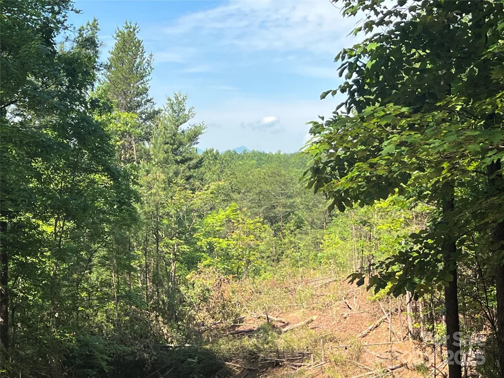 0 South Mountain Drive #16 Nebo, NC 28761