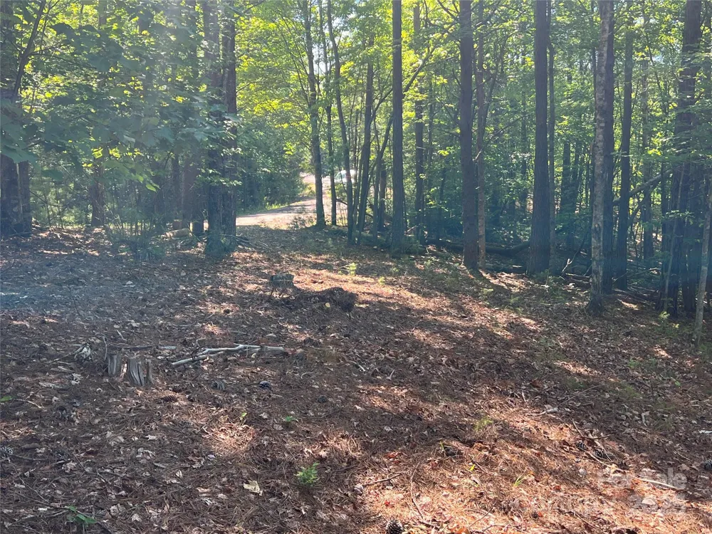 0 South Mountain Drive #16 Nebo, NC 28761