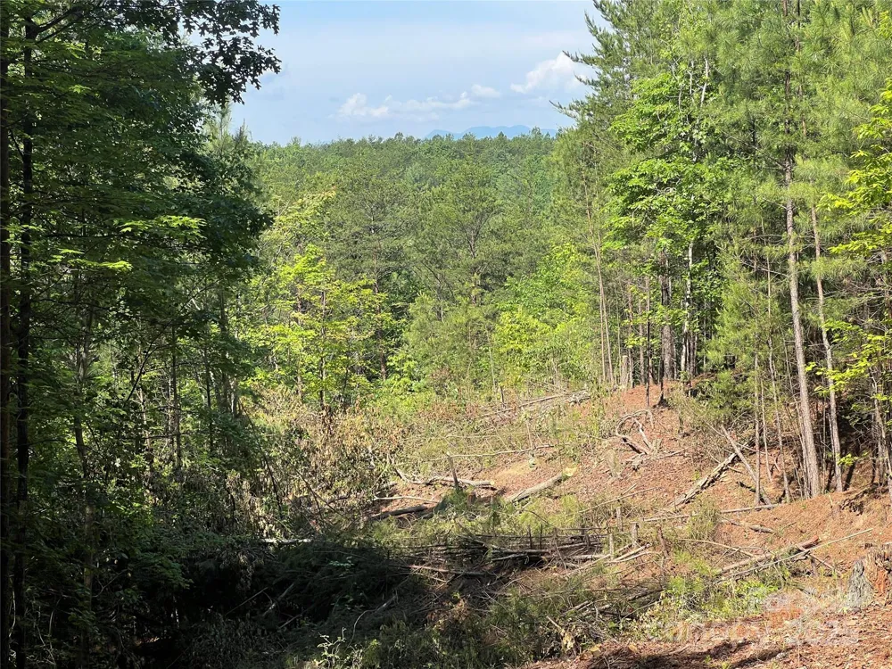 0 South Mountain Drive #16 Nebo, NC 28761