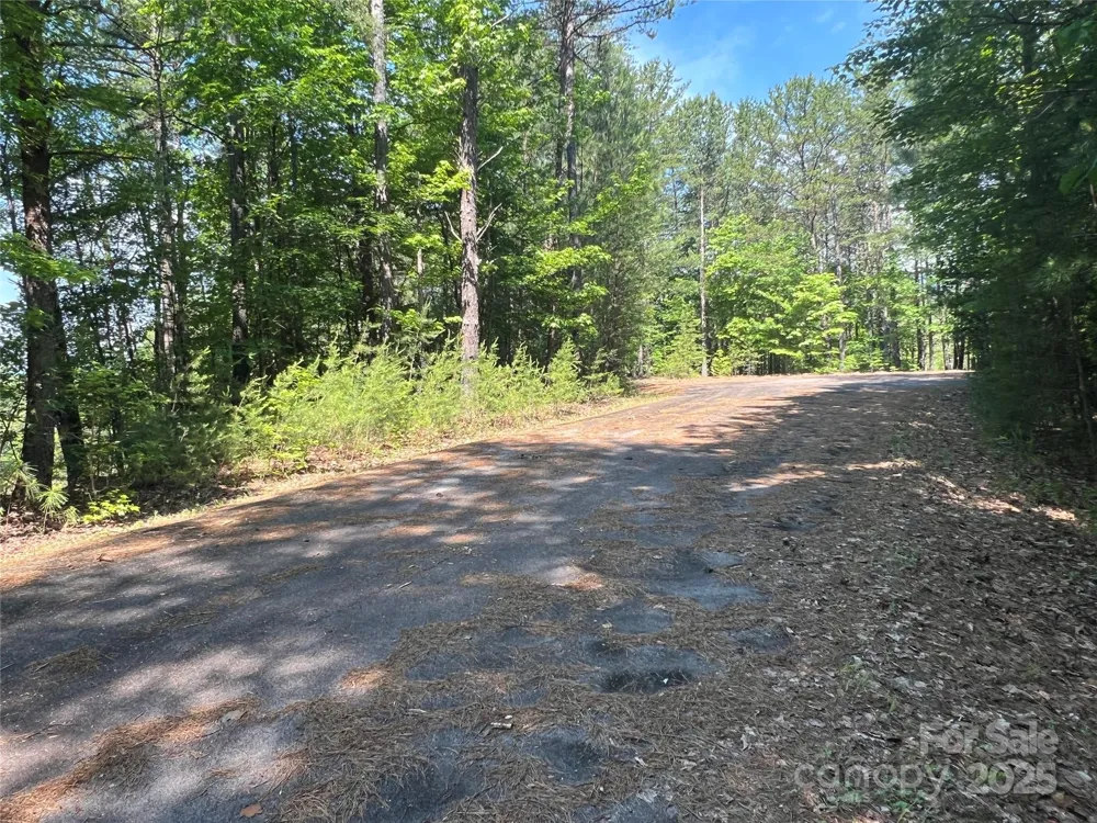 0 South Mountain Drive #16 Nebo, NC 28761