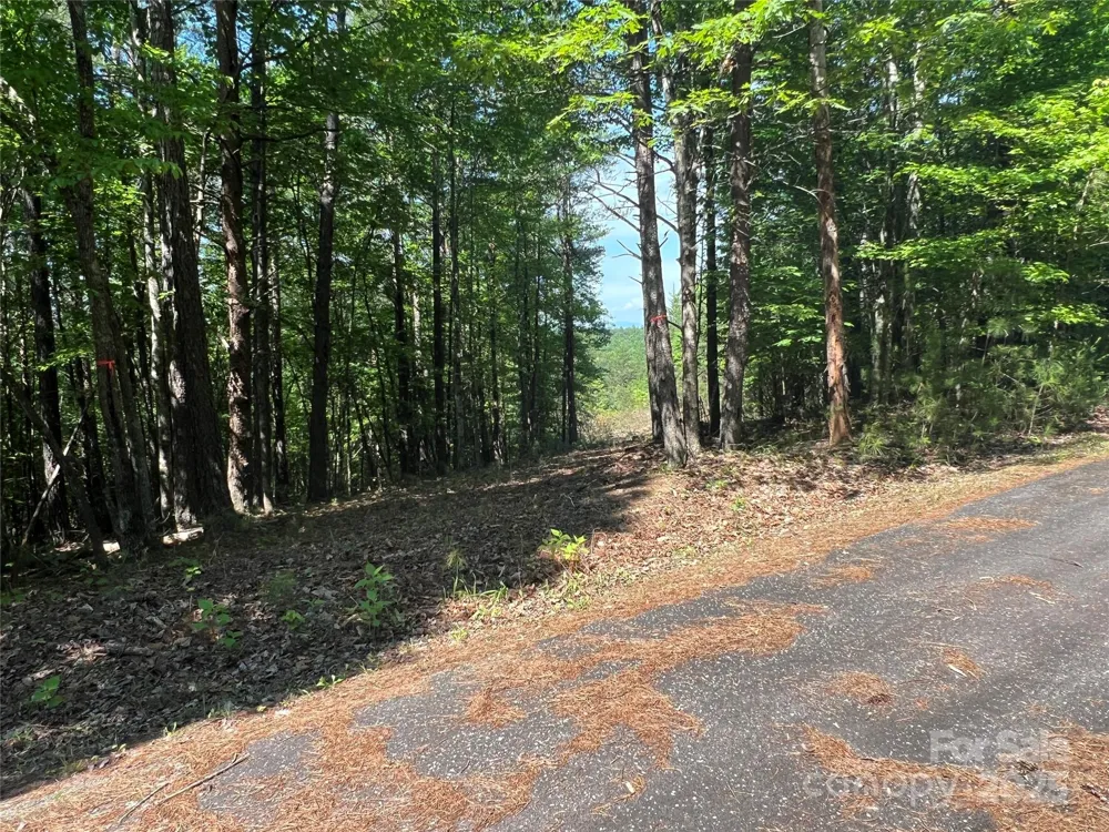 0 South Mountain Drive #16 Nebo, NC 28761