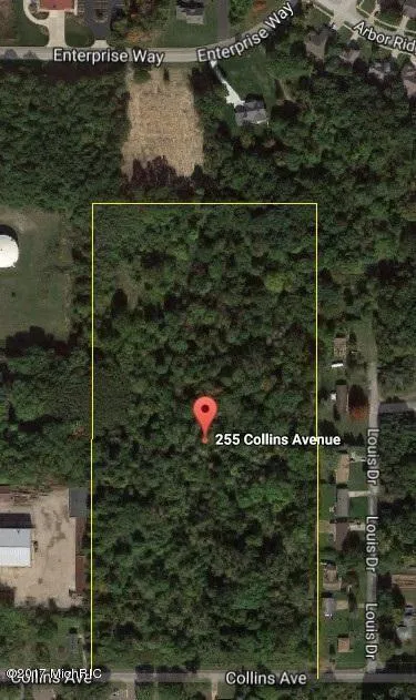 255 Collins Avenue Benton Harbor, MI 49022