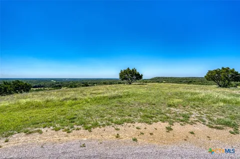 993 Blackbuck Ridge Drive