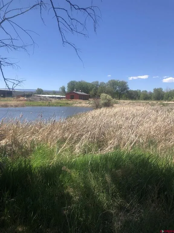 30394 J ROAD Hotchkiss, CO 81419