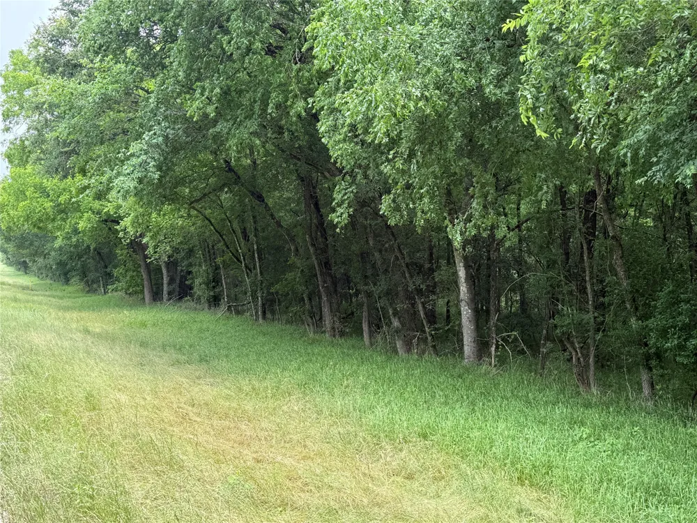 FM 642 Purdon, TX 76679