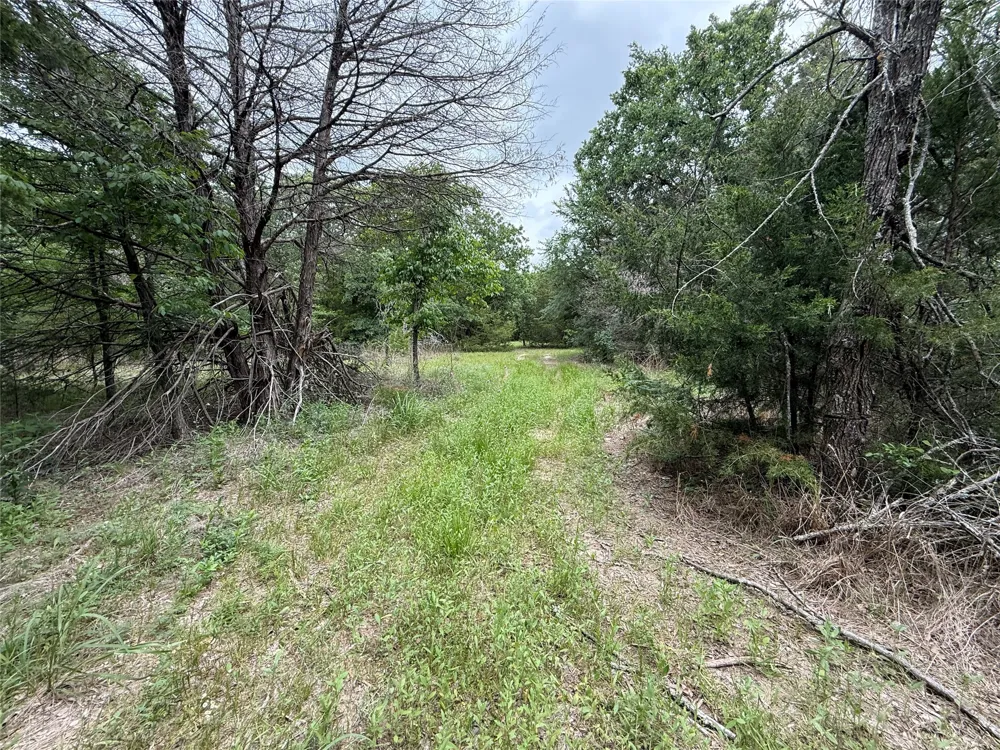 FM 642 Purdon, TX 76679