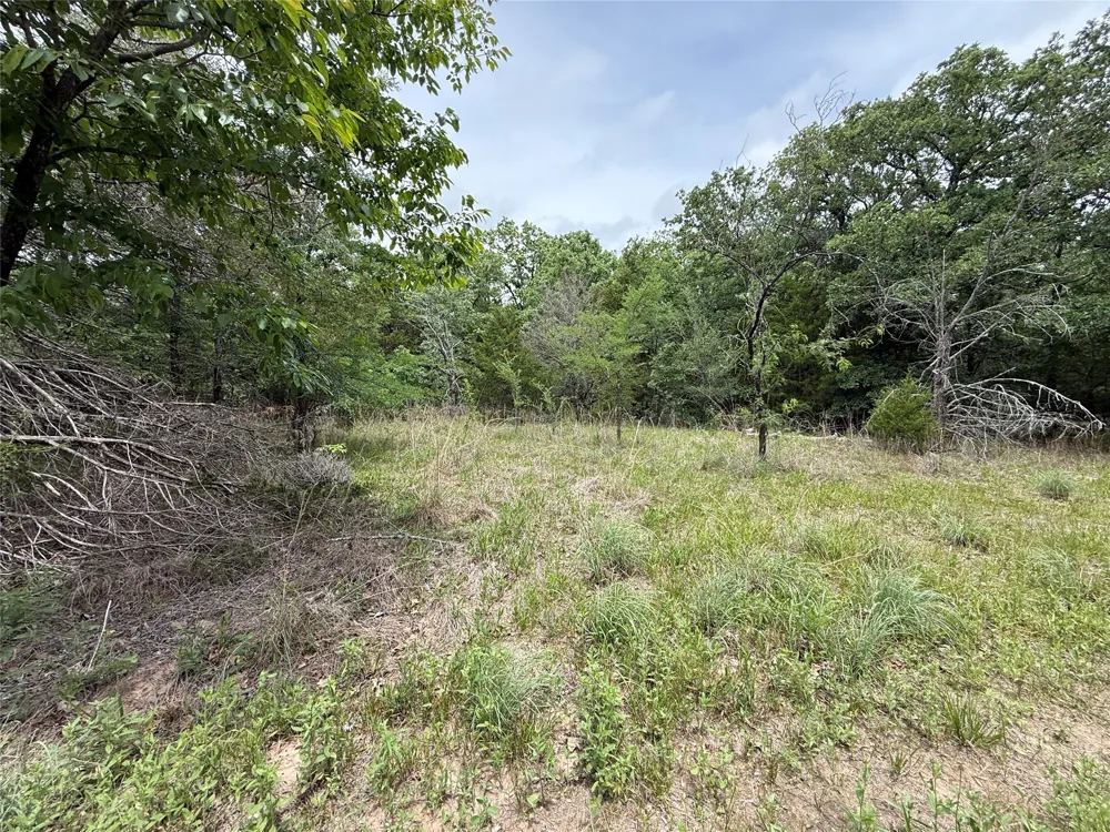 FM 642 Purdon, TX 76679