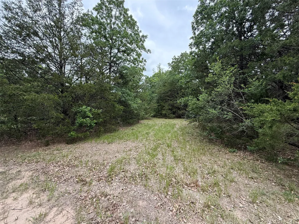 FM 642 Purdon, TX 76679