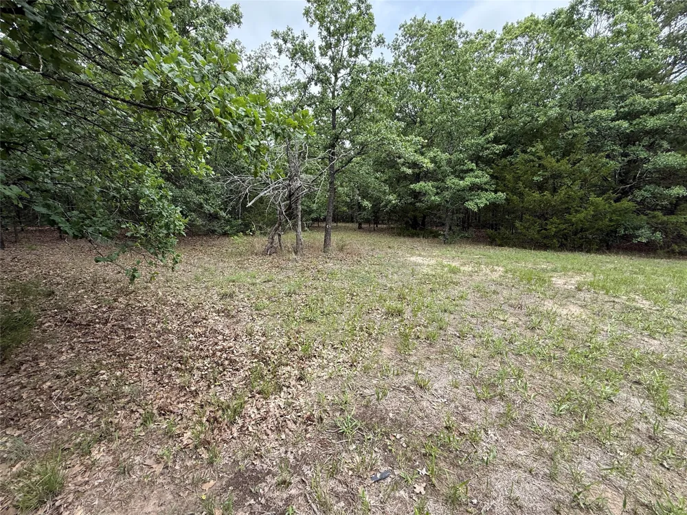 FM 642 Purdon, TX 76679