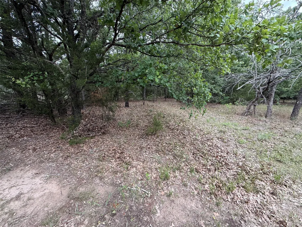 FM 642 Purdon, TX 76679