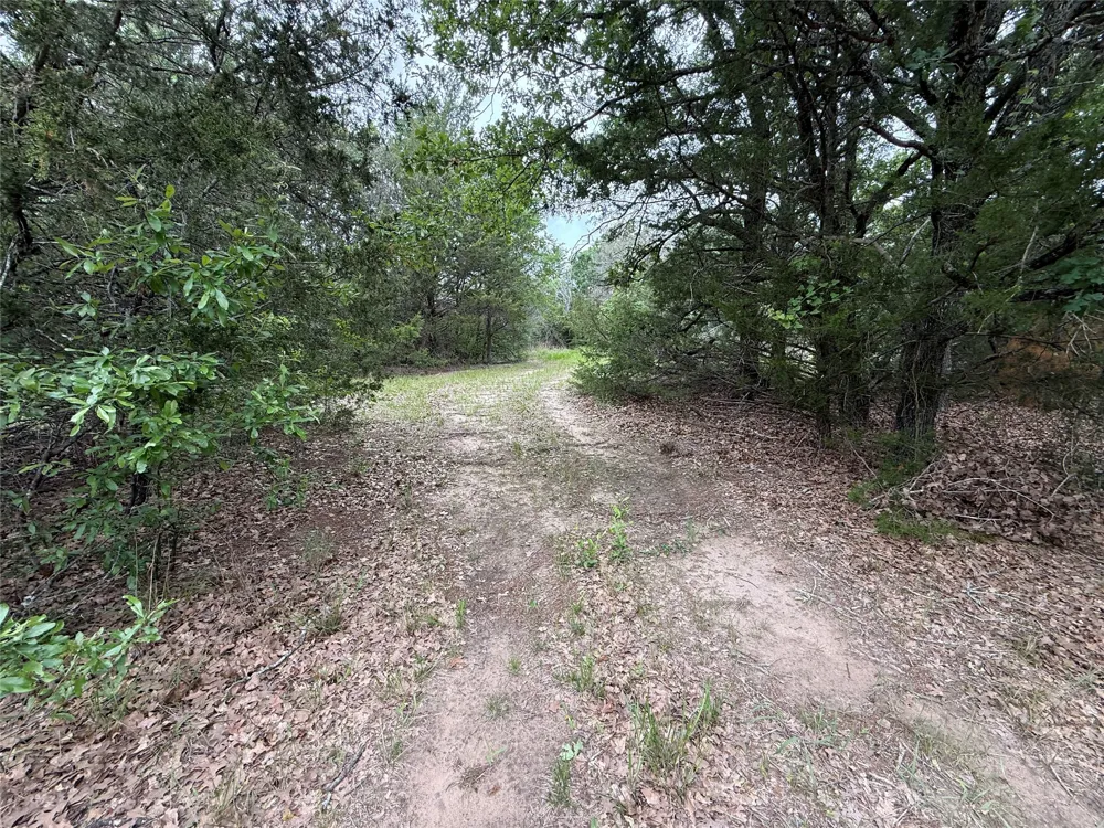 FM 642 Purdon, TX 76679