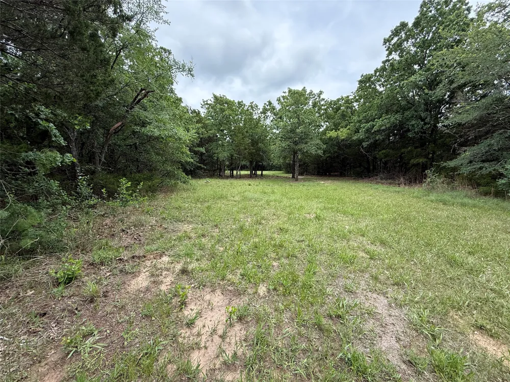 FM 642 Purdon, TX 76679
