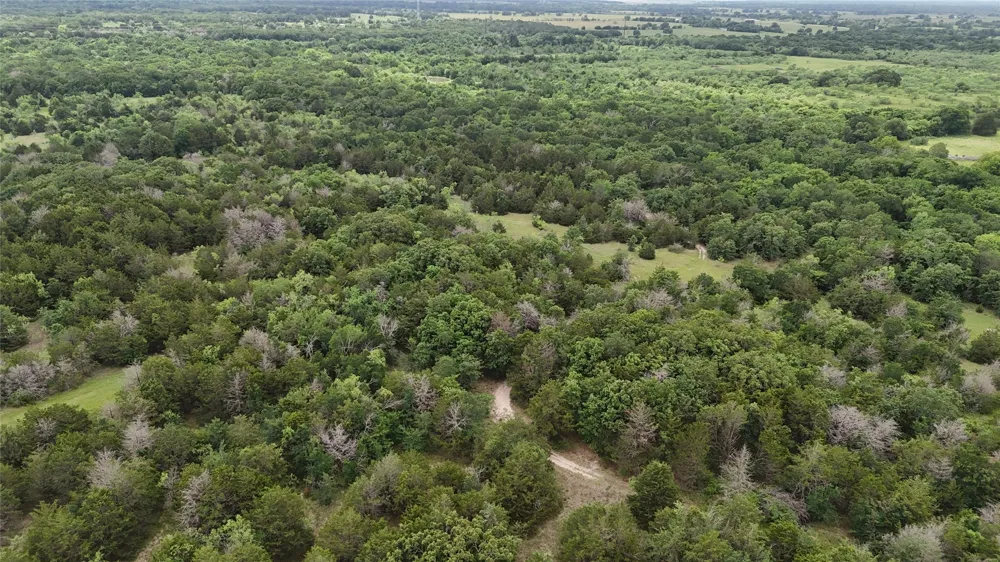 FM 642 Purdon, TX 76679