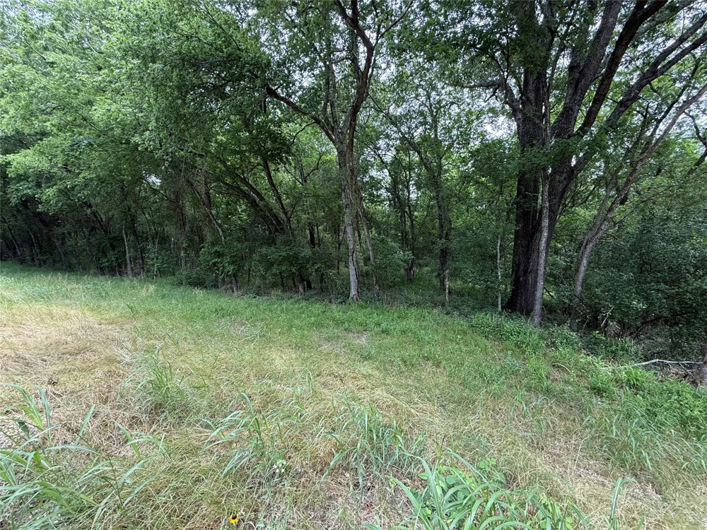 FM 642 Purdon, TX 76679