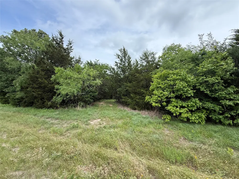 FM 642 Purdon, TX 76679