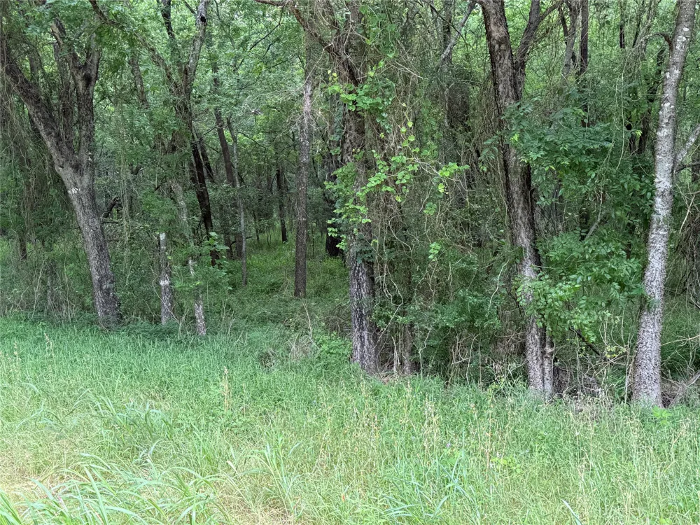 FM 642 Purdon, TX 76679