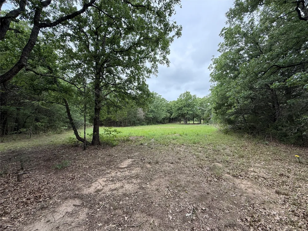 FM 642 Purdon, TX 76679