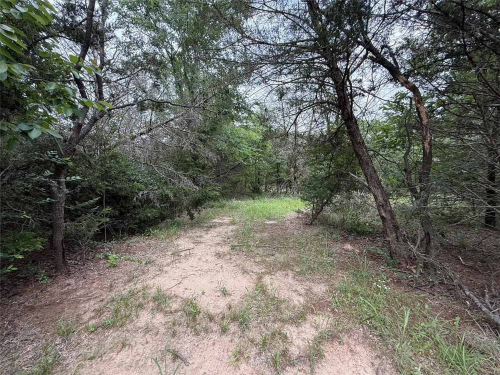 FM 642 Purdon, TX 76679