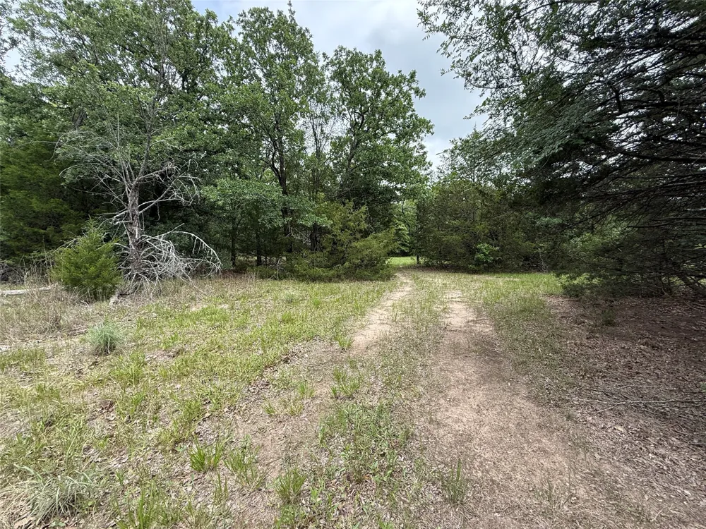 FM 642 Purdon, TX 76679
