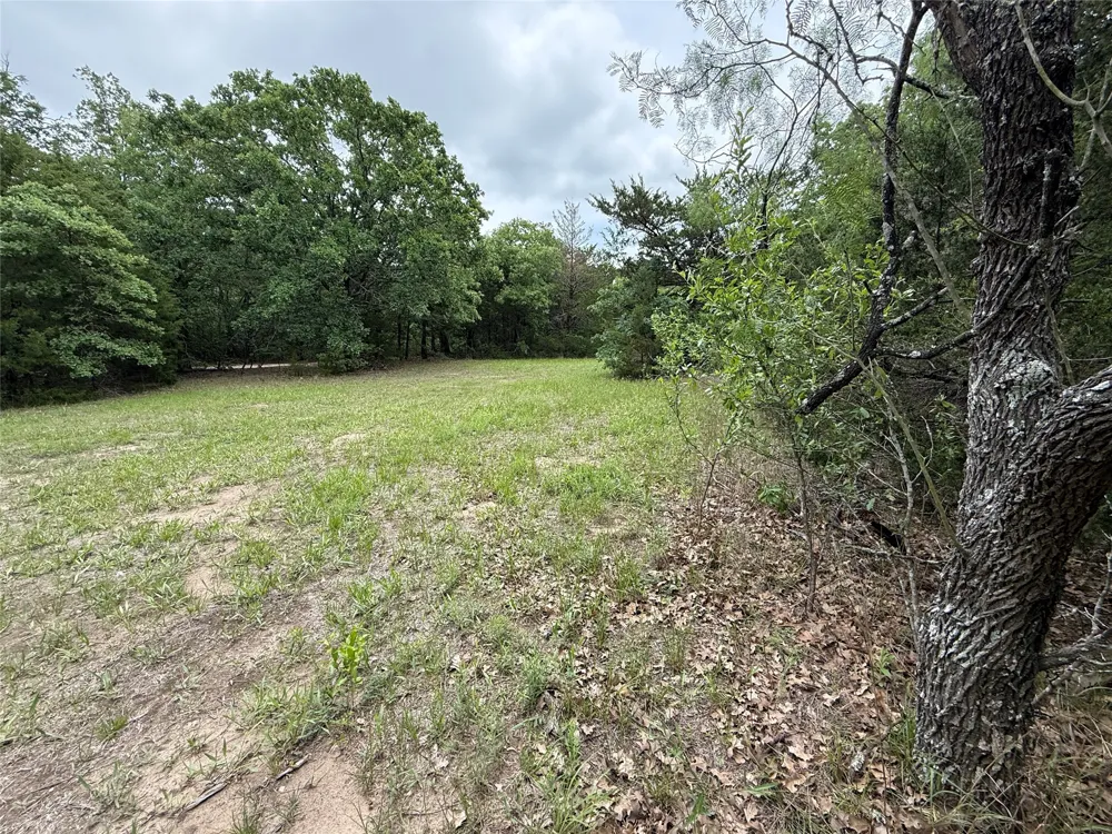 FM 642 Purdon, TX 76679