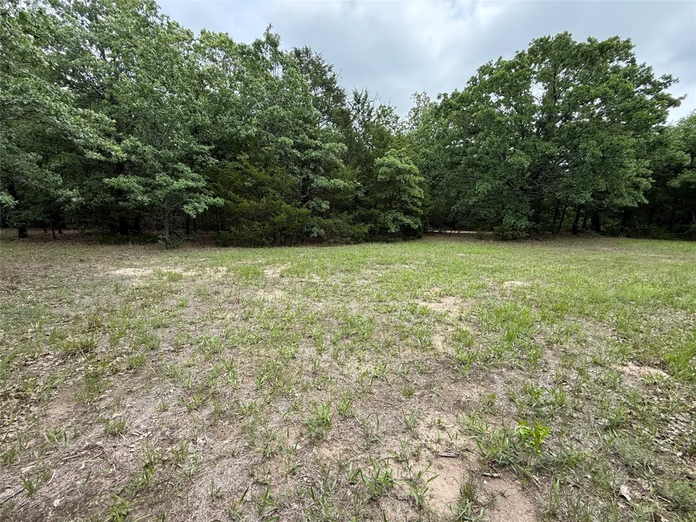 FM 642 Purdon, TX 76679