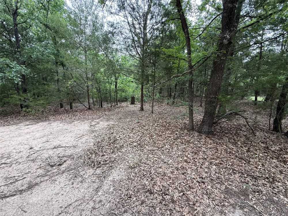 FM 642 Purdon, TX 76679