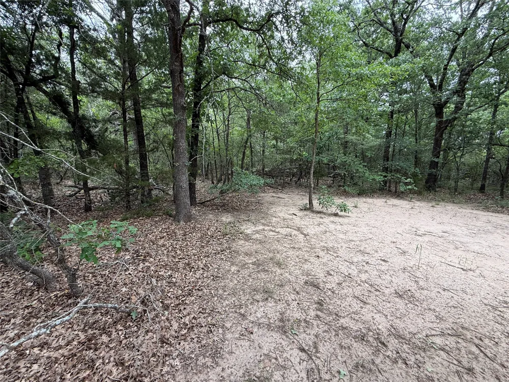 FM 642 Purdon, TX 76679