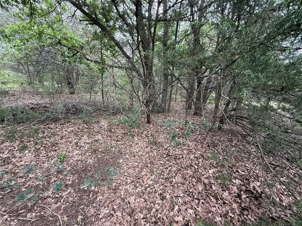 FM 642 Purdon, TX 76679