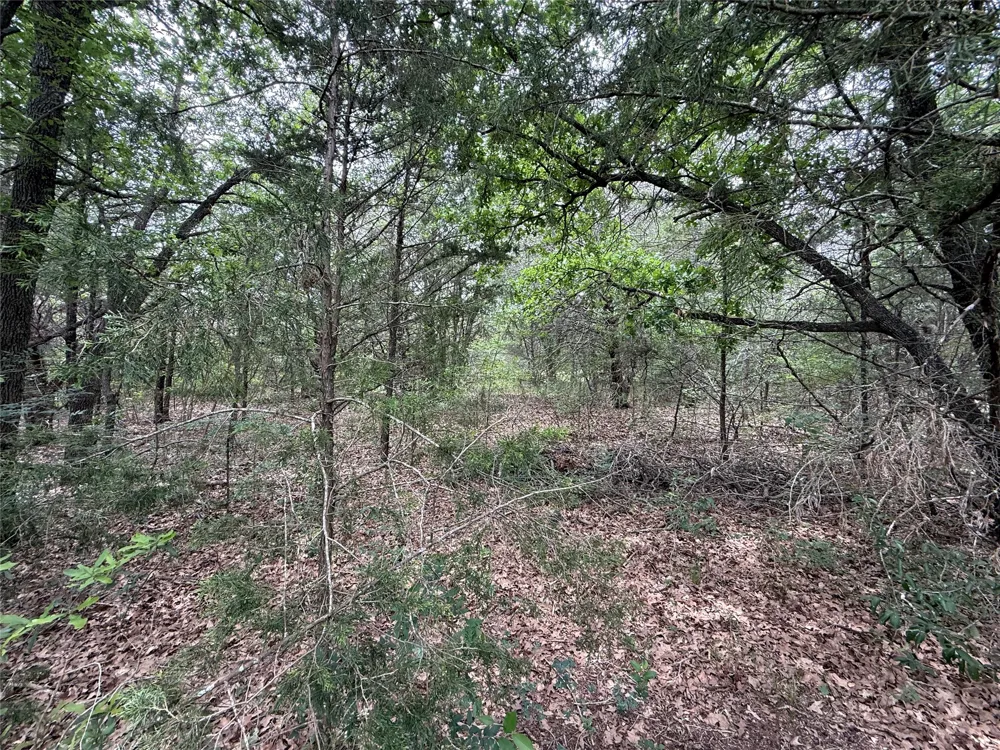 FM 642 Purdon, TX 76679