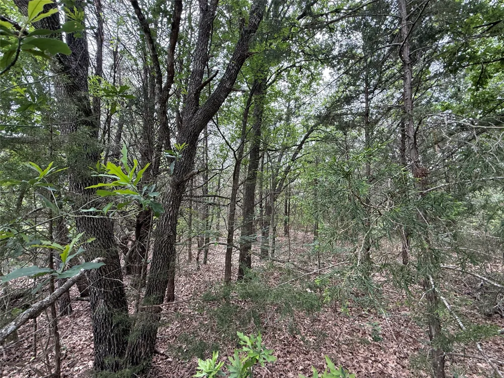 FM 642 Purdon, TX 76679