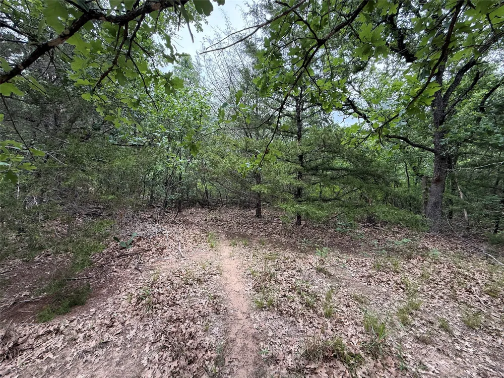 FM 642 Purdon, TX 76679