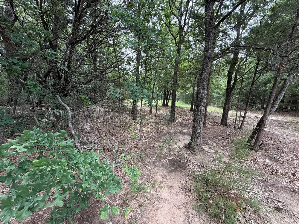 FM 642 Purdon, TX 76679