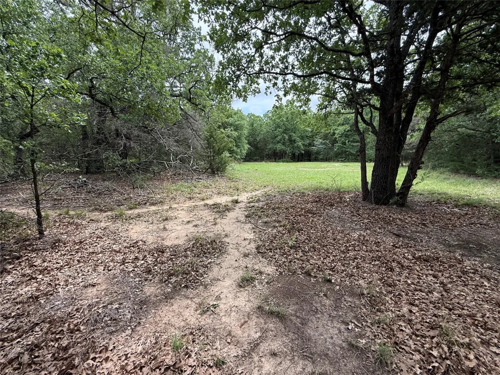 FM 642 Purdon, TX 76679