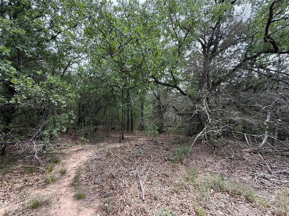 FM 642 Purdon, TX 76679