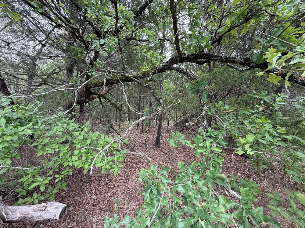 FM 642 Purdon, TX 76679
