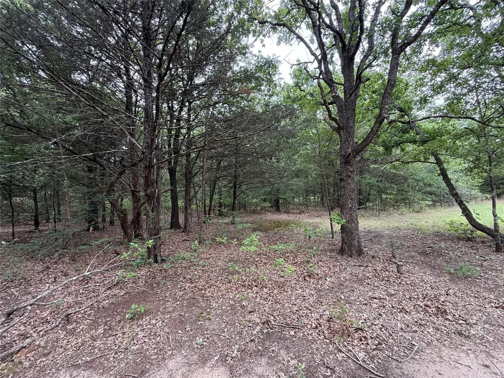 FM 642 Purdon, TX 76679