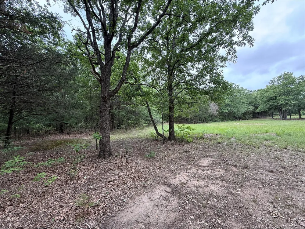 FM 642 Purdon, TX 76679