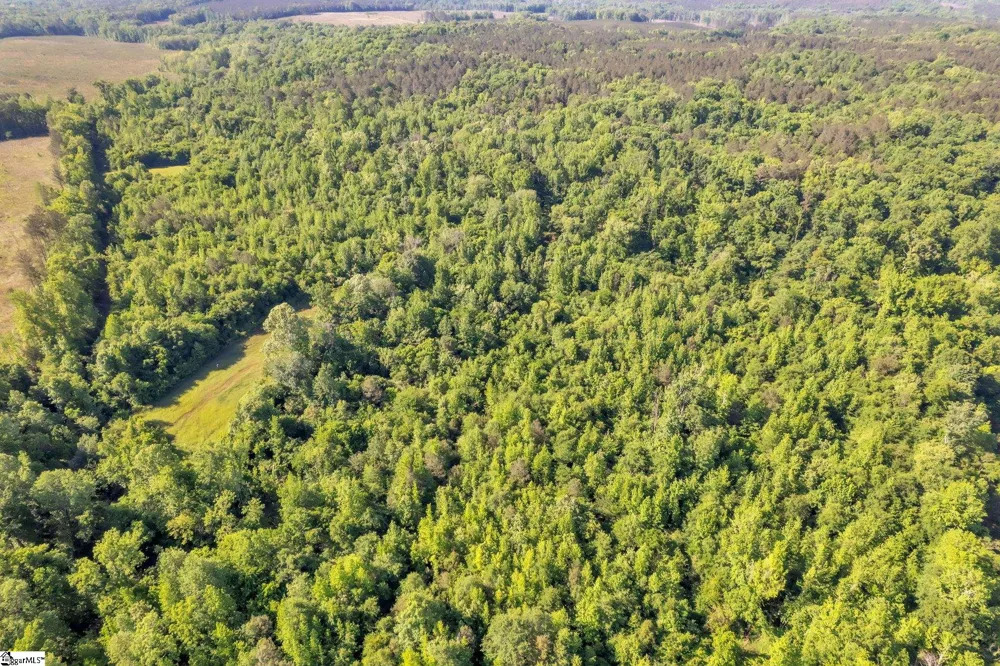 0 Hemlock Drive Clinton, SC 29325