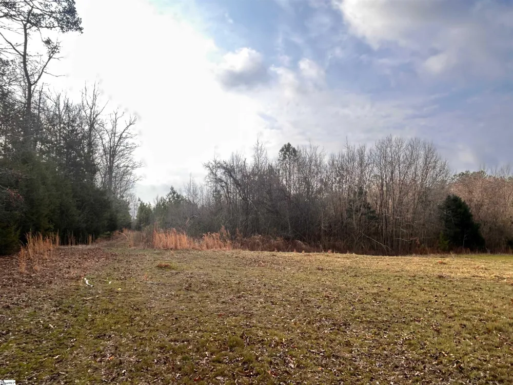 0 Hemlock Drive Clinton, SC 29325