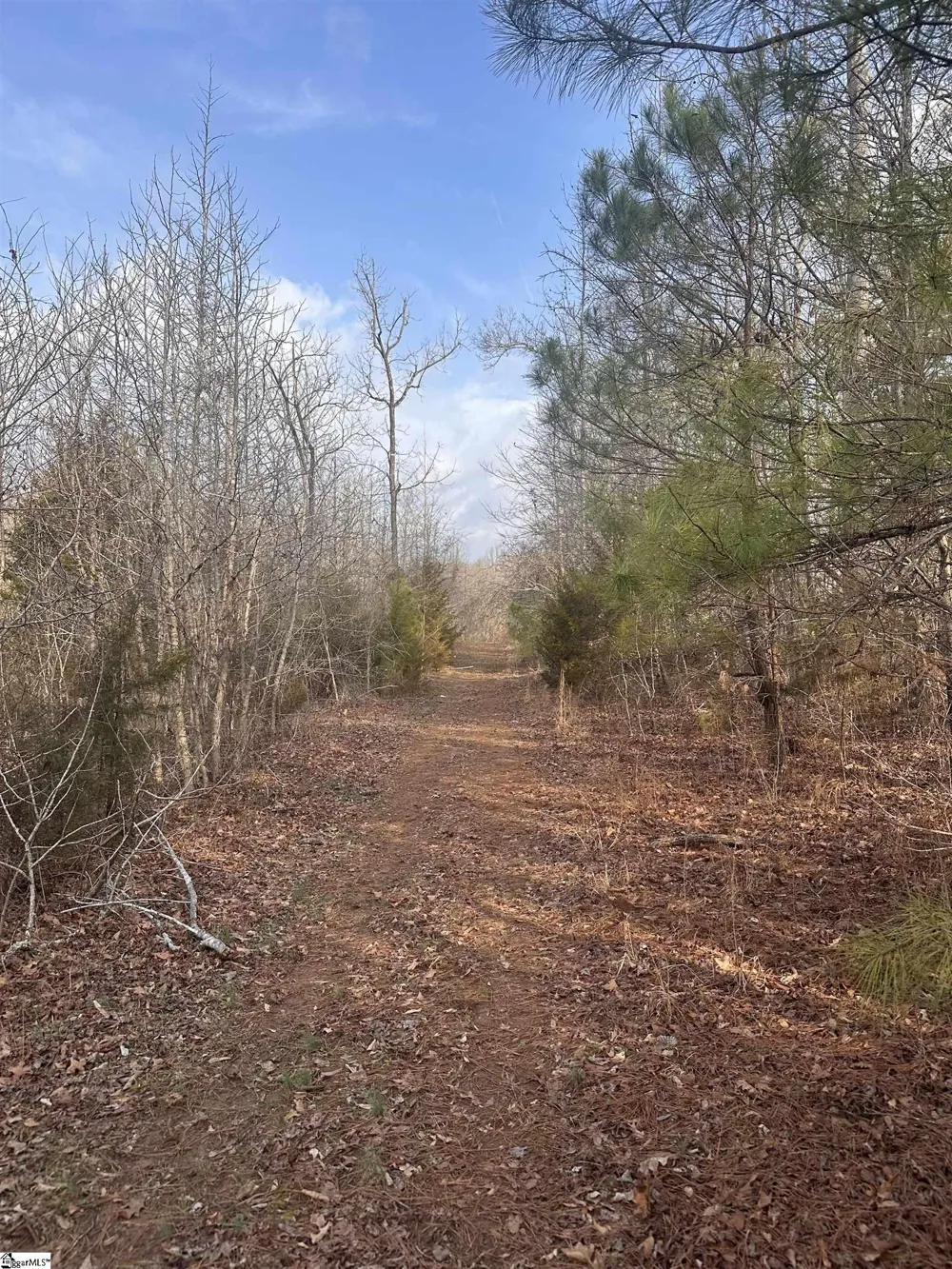 0 Hemlock Drive Clinton, SC 29325