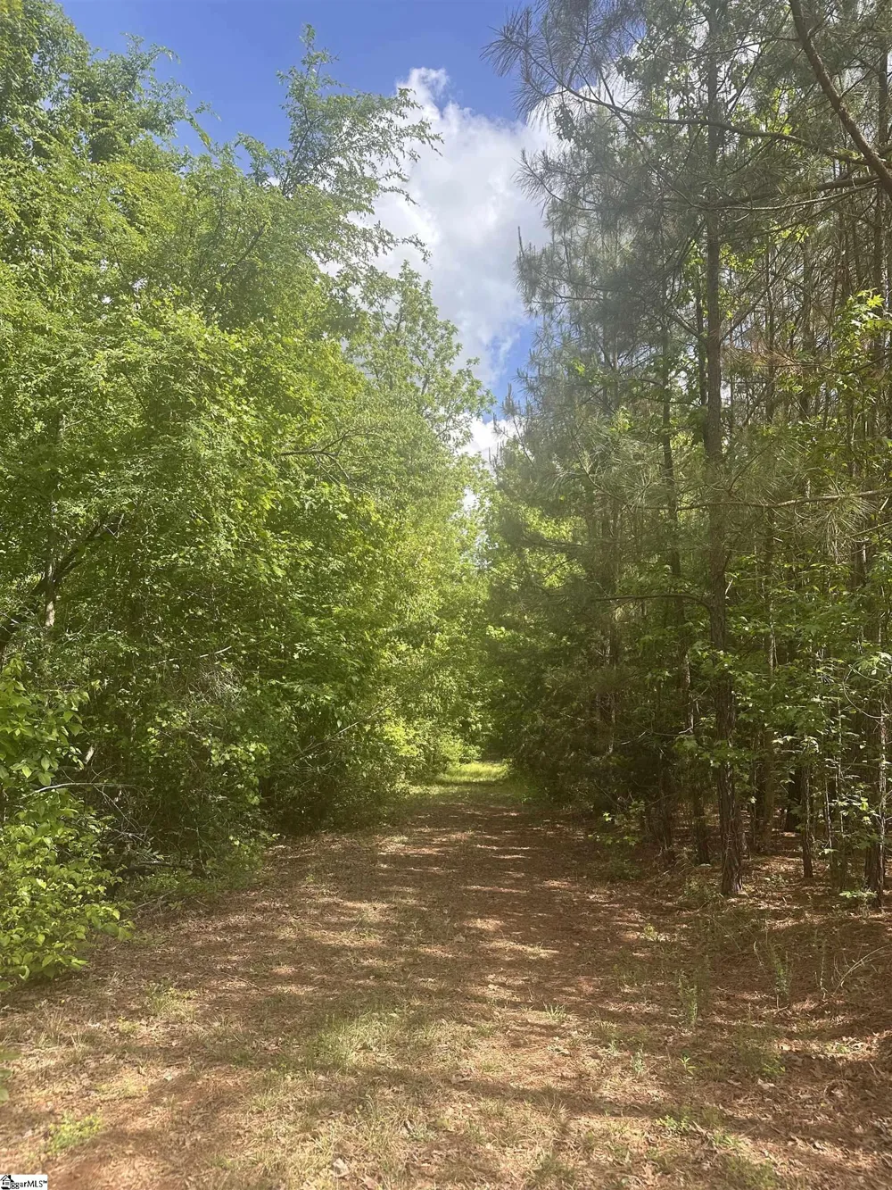 0 Hemlock Drive Clinton, SC 29325