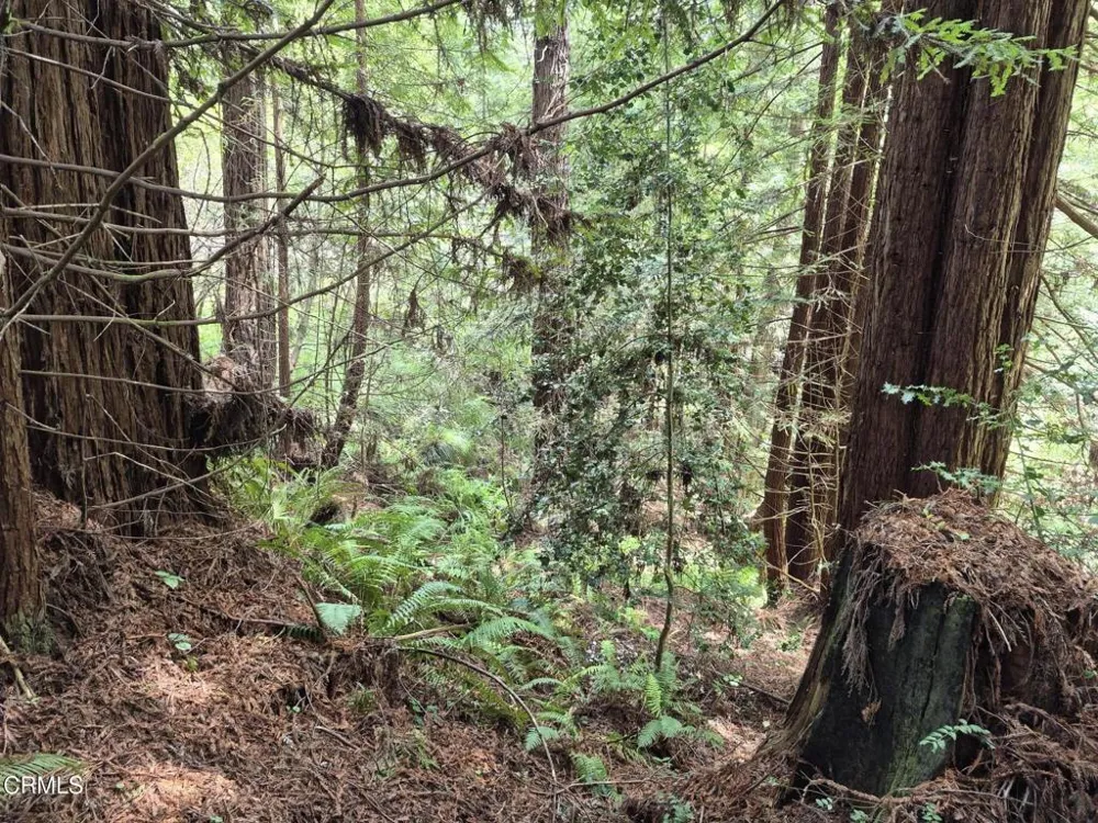 20301 Lyta Way Fort Bragg, CA 95437
