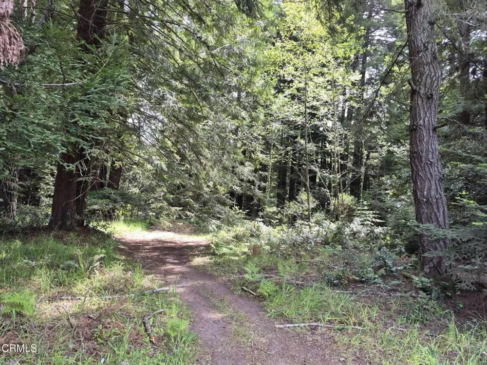 20301 Lyta Way Fort Bragg, CA 95437