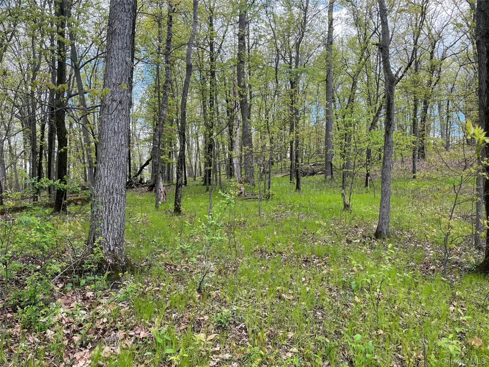 Cold Spring Road Clinton Corners, NY 12514