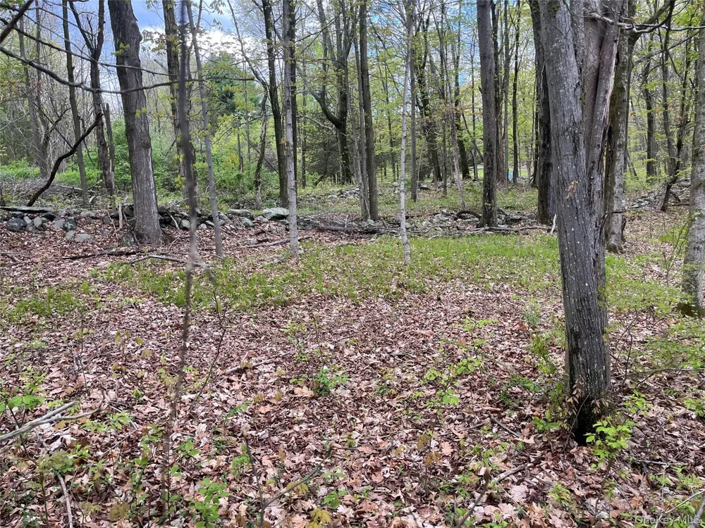 Cold Spring Road Clinton Corners, NY 12514