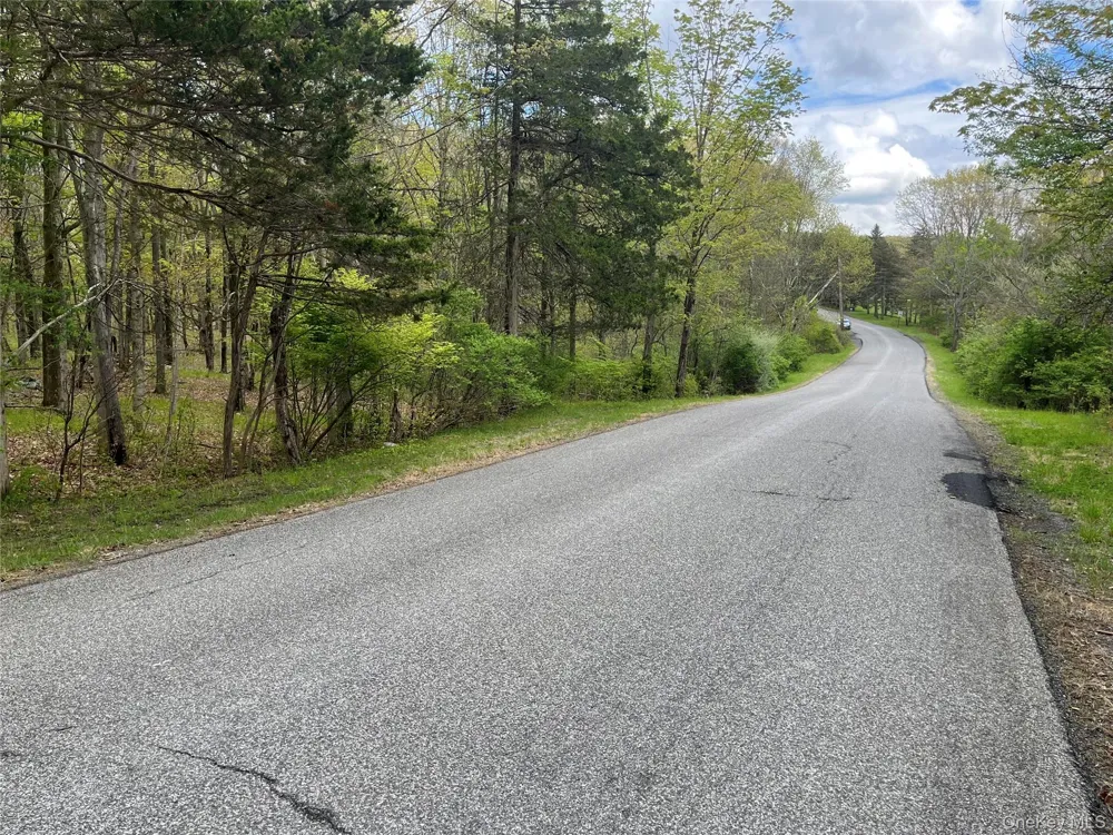 Cold Spring Road Clinton Corners, NY 12514
