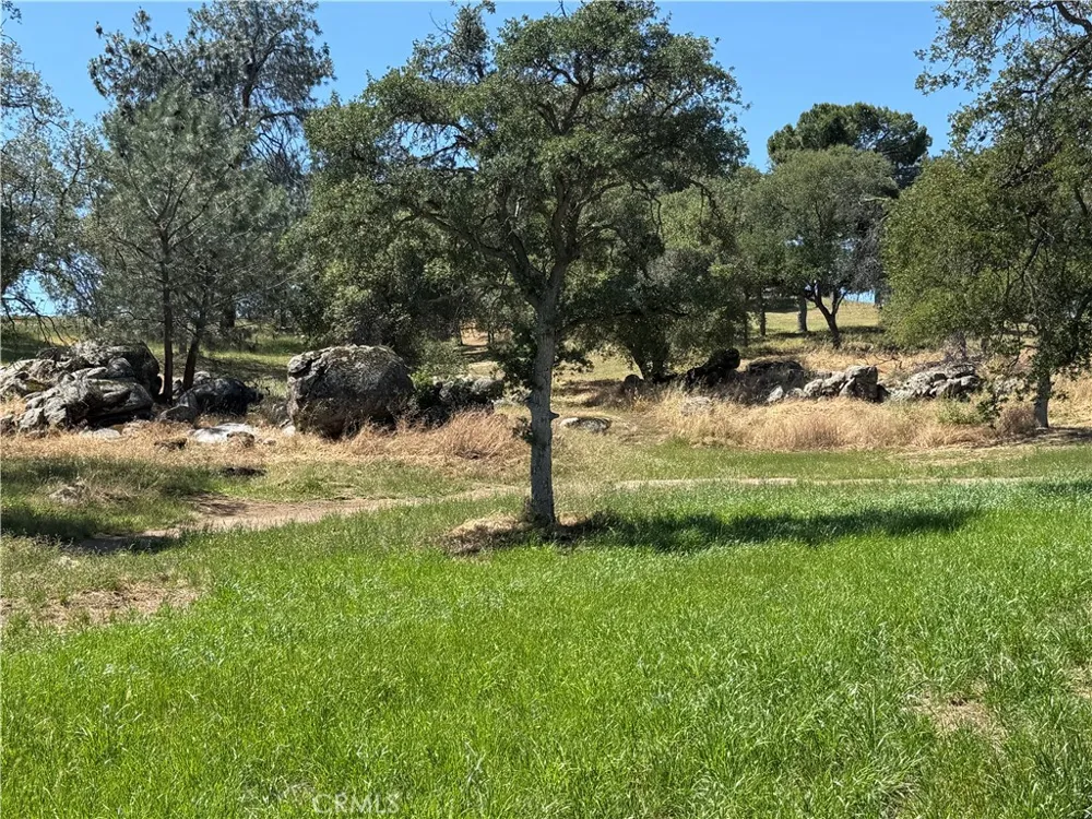 958 N Kings Canyon Court Coarsegold, CA 93614